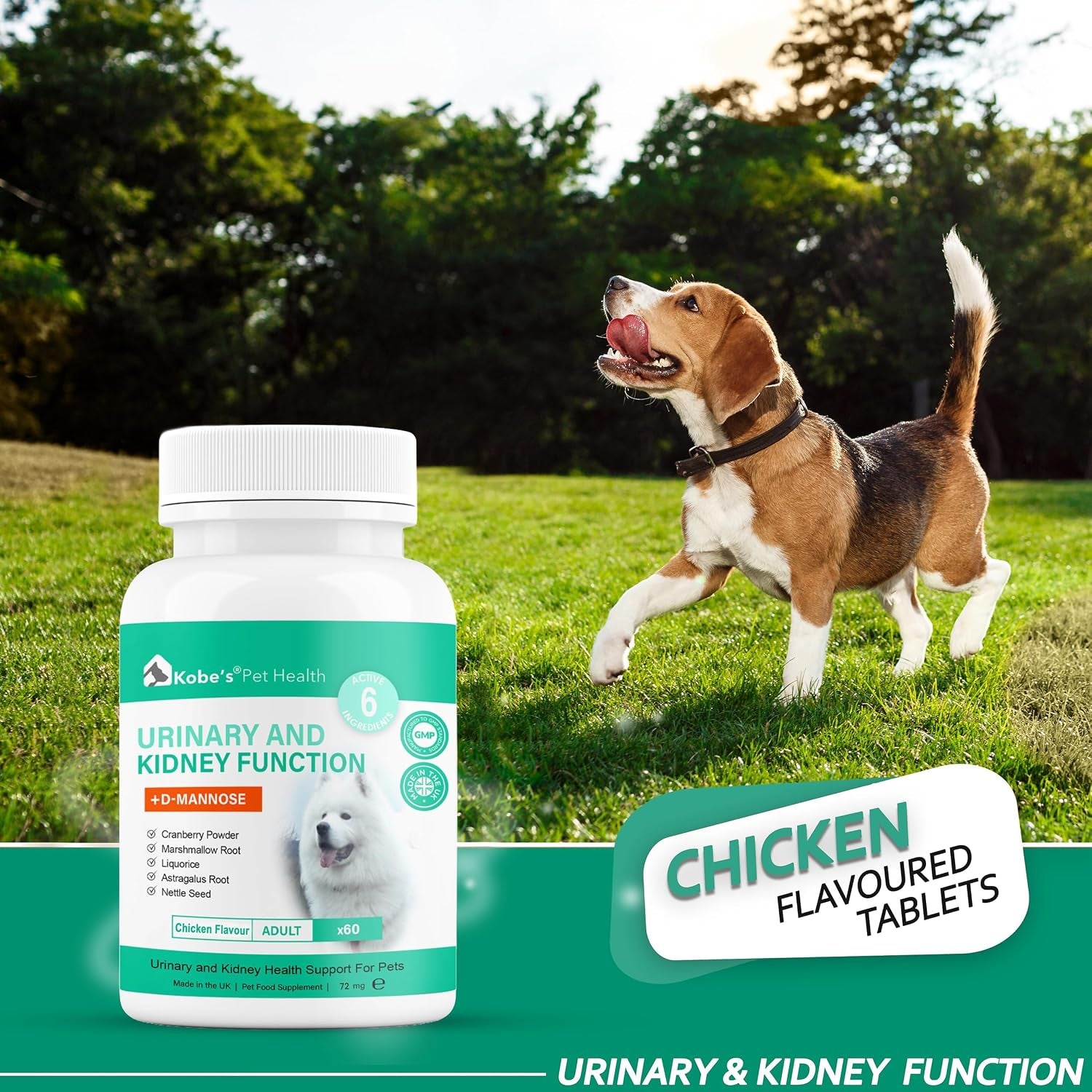 Probiotics for Dogs by KOBE’S® | Digestive Enzyme | Urinary Tract Infection | Stimulates Immune System & Maintains Overall Health | Dog Yeast Infection Treatment| Dog Diarrhea Treatment - 60 Tablets