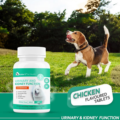 Probiotics for Dogs by KOBE’S® | Digestive Enzyme | Urinary Tract Infection | Stimulates Immune System & Maintains Overall Health | Dog Yeast Infection Treatment| Dog Diarrhea Treatment - 60 Tablets