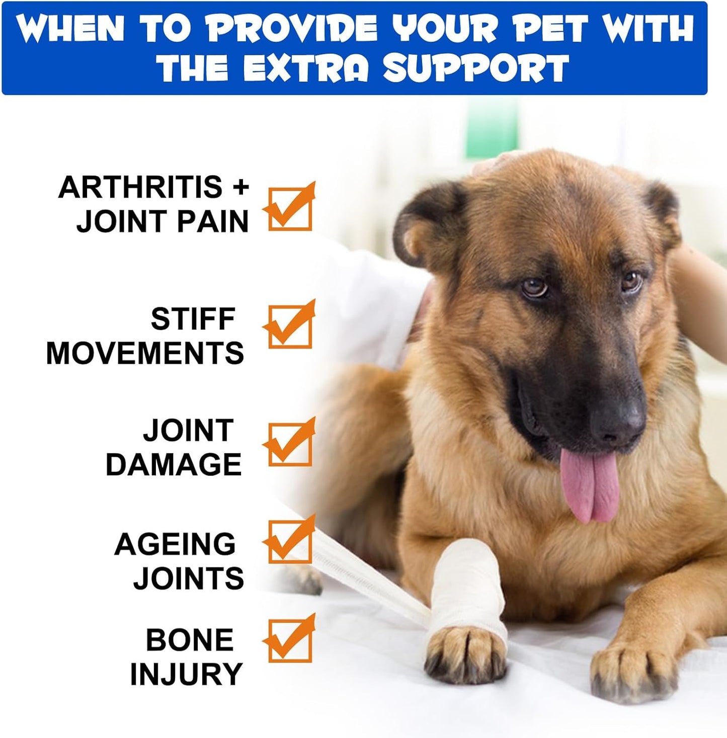Joint Supplements for Dogs Joint Aid for Dogs with Glucosamine Dog Joint Supplements for Senior Dogs Improve Mobility & Flexibility Pet Supplement for Older and Stiff Dogs, Beef Flavor - 120Ml