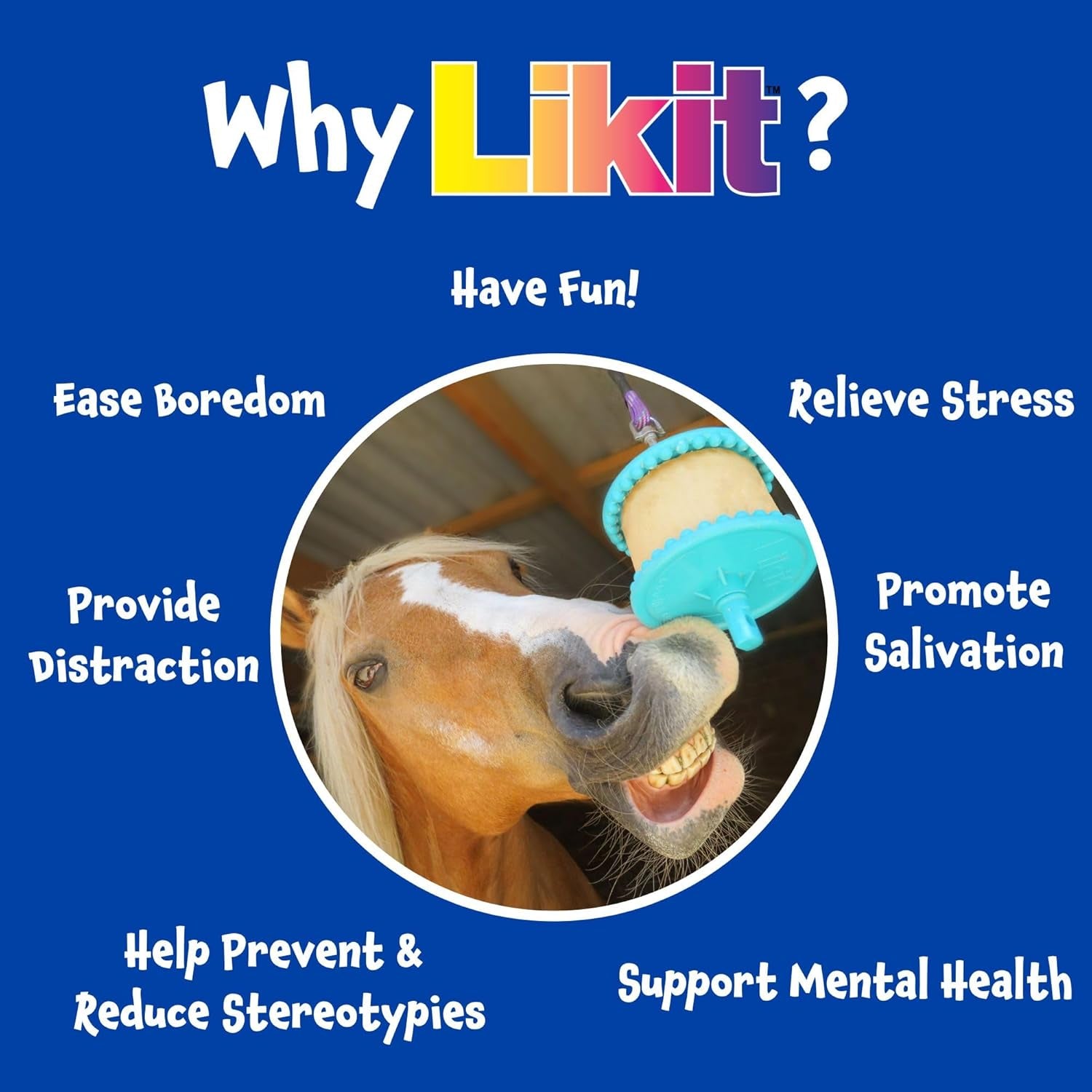 Horse Treat Apple Large Refill 650G | Tasty Horse Treat, Reduce Your Horse'S Boredom & Stress | Apple