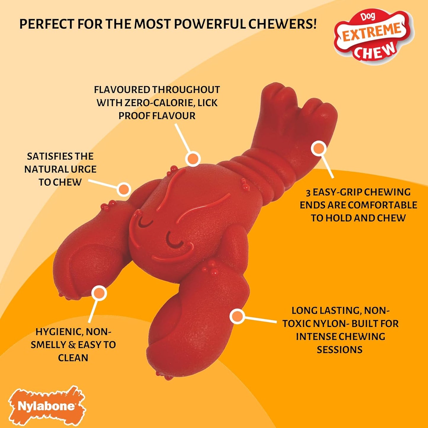 Extremely Strong Chew Effect Novelty Lobster Chew Toy Durable Chew Toy for Teeth Steak Small for Dogs up to 11Kg