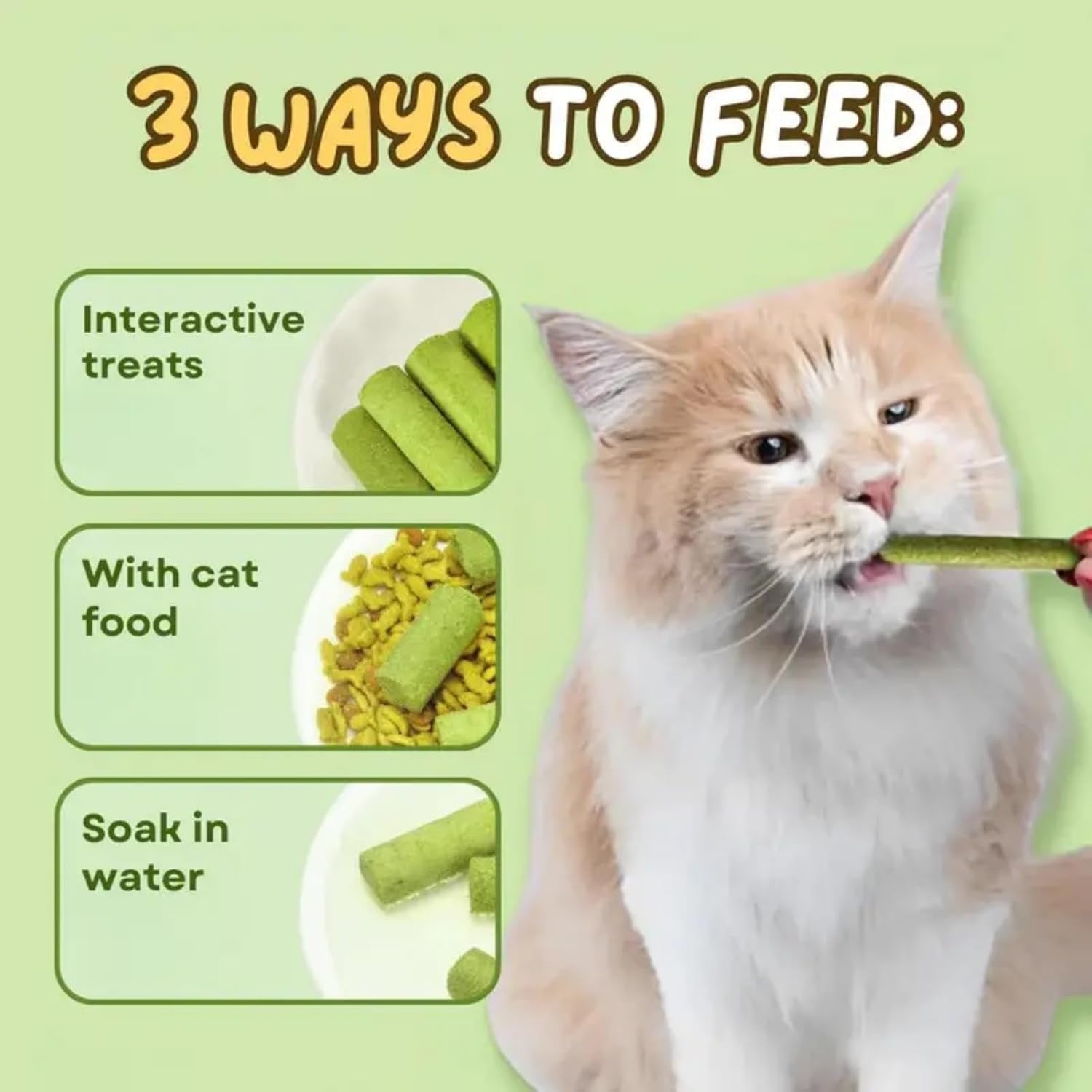 Cat Grass Teething Stick,Natural Catnip Chew Sticks,Catnip Sticks for Hairball Control,Cat Grass Dental Chew Sticks,Cat Dental Toy,Catnip Toys Sticks for Hairball Removal,Cat Teeth Cleaning Sticks