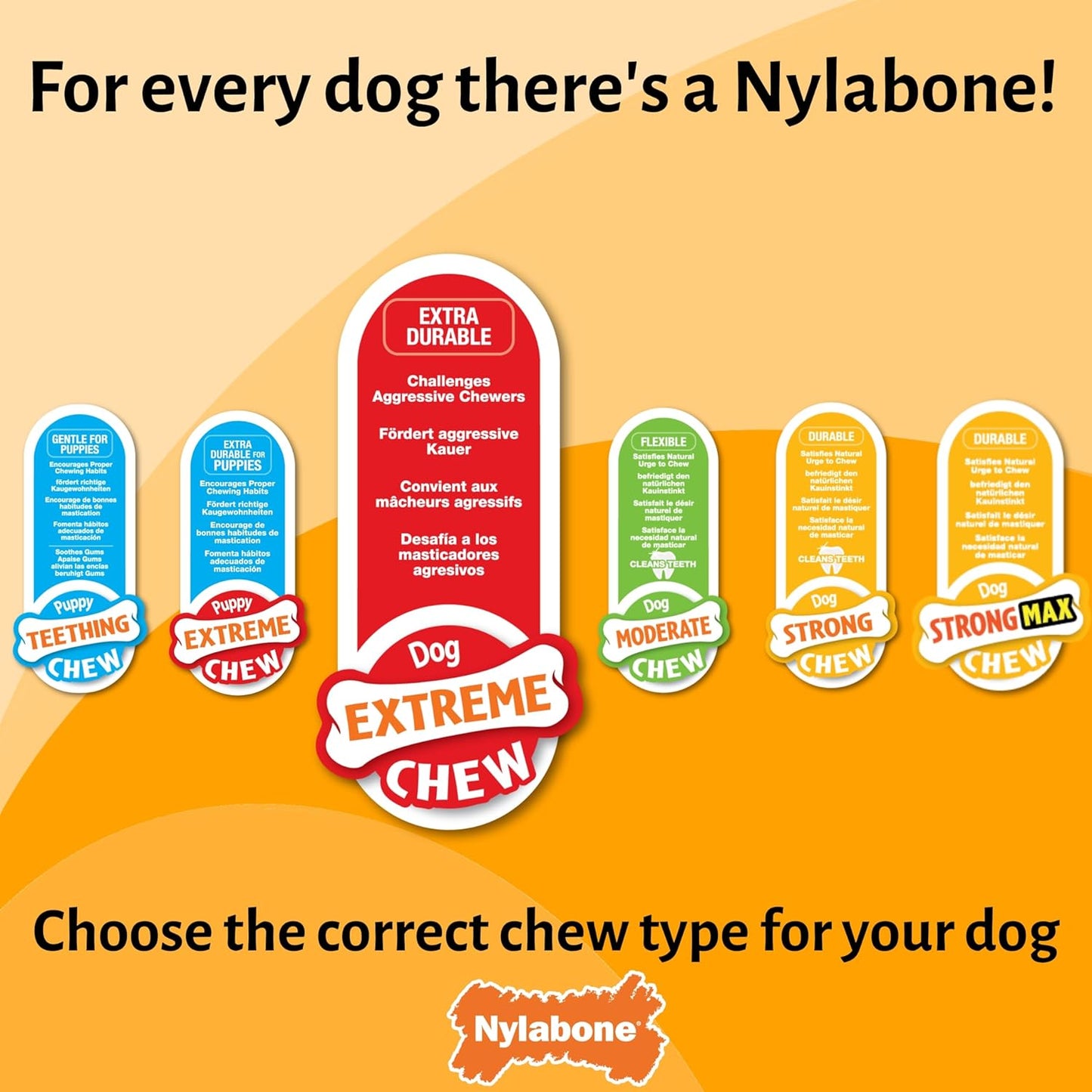 Extremely Strong Chew Effect Novelty Lobster Chew Toy Durable Chew Toy for Teeth Steak Small for Dogs up to 11Kg