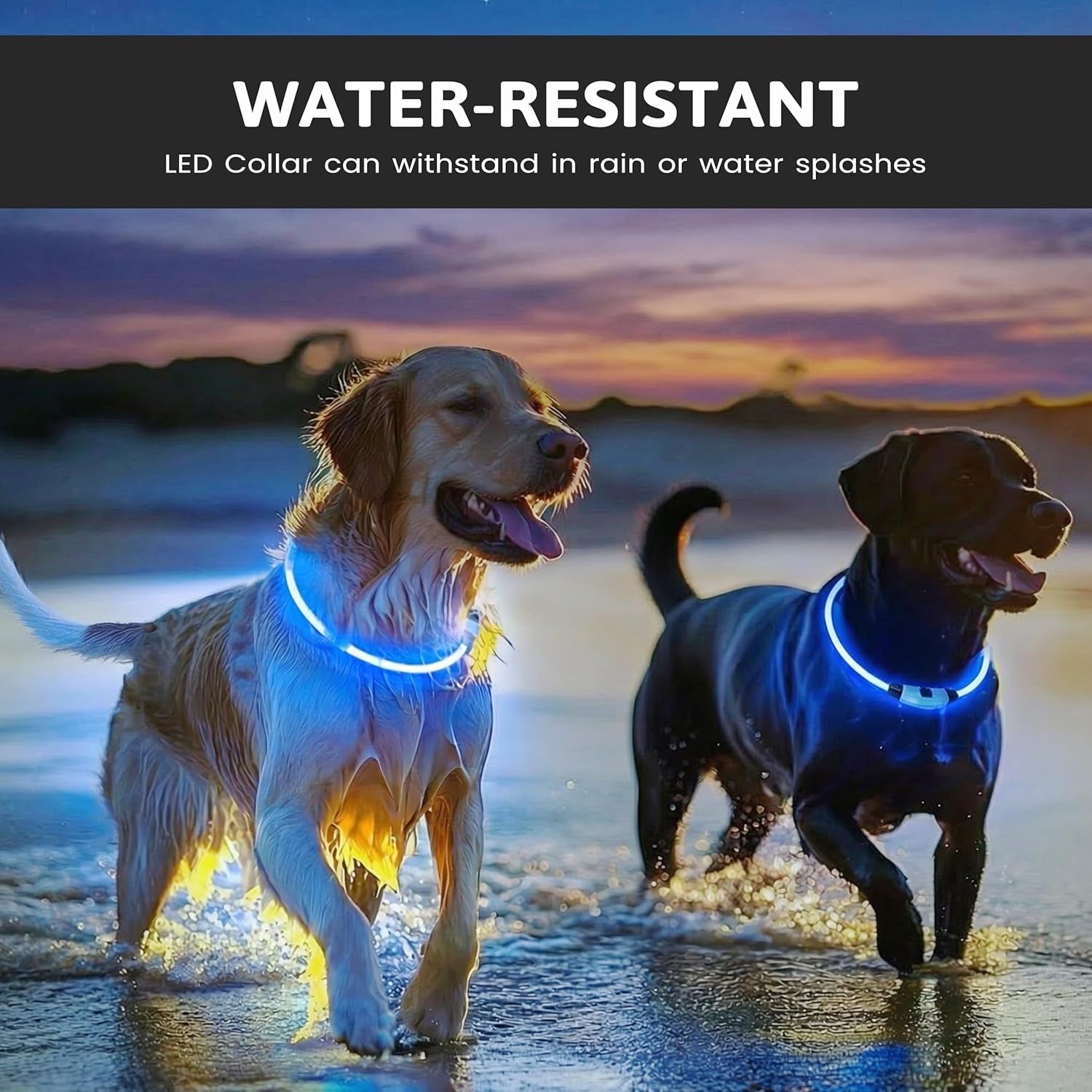 Light up Dog Collar USB Rechargeable Flashing Dog Collar for Dark – Safety High Vis Neon Dog Lights for Night Walking, Dog Harness Light Illuminous Dogs Collar Cut to Size for Small Dogs & Puppies