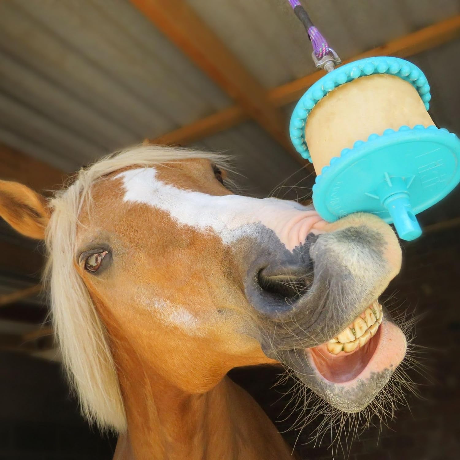 Horse Treat Apple Large Refill 650G | Tasty Horse Treat, Reduce Your Horse'S Boredom & Stress | Apple