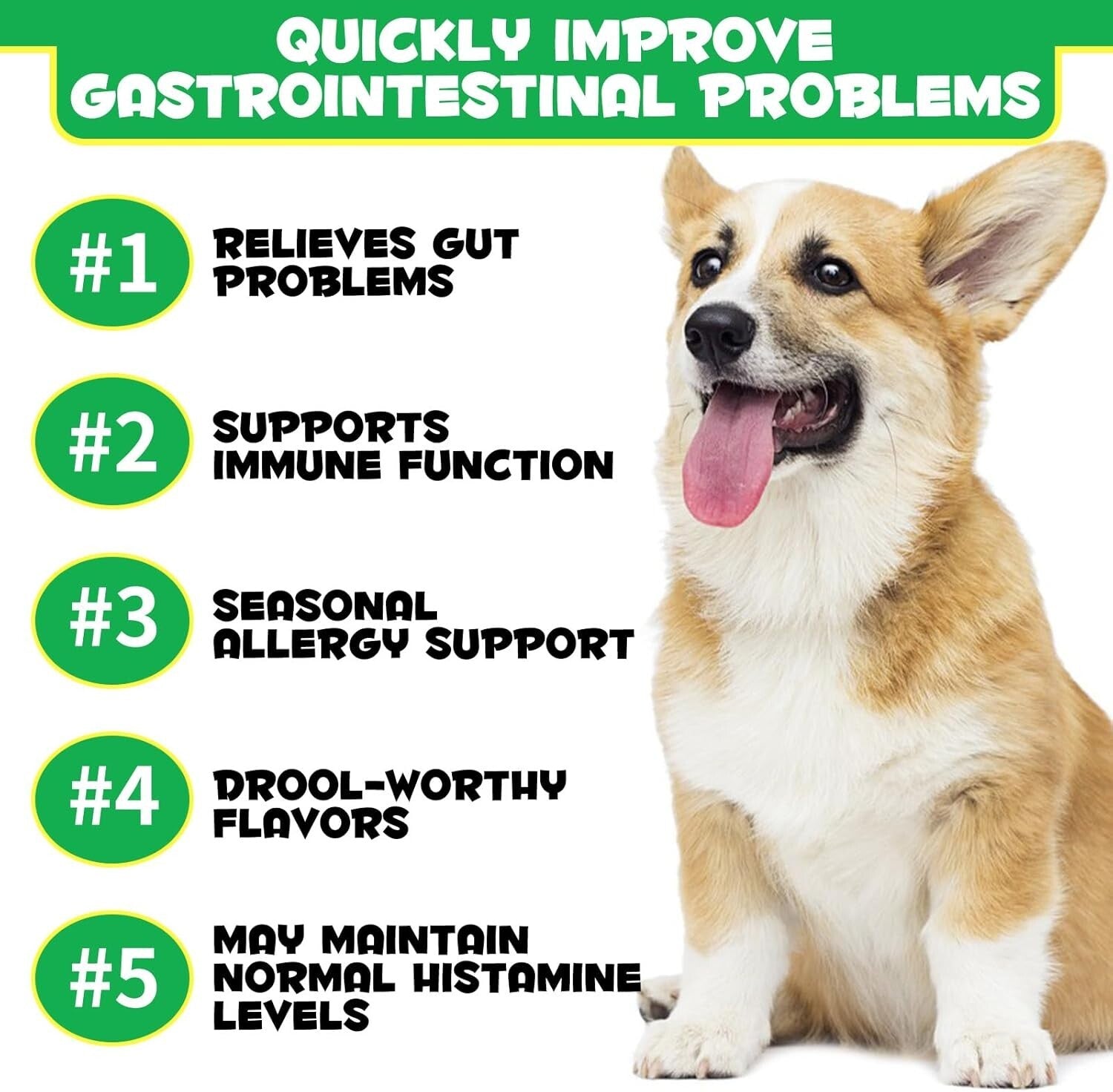 Probiotics Chews for Dogs, Dog Prebiotics for Gut Health - Probiotics for Dogs,
