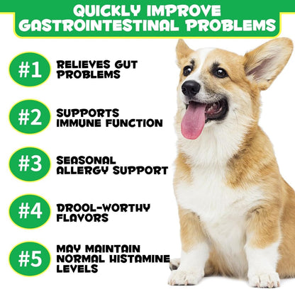Probiotics Chews for Dogs, Dog Prebiotics for Gut Health - Probiotics for Dogs,