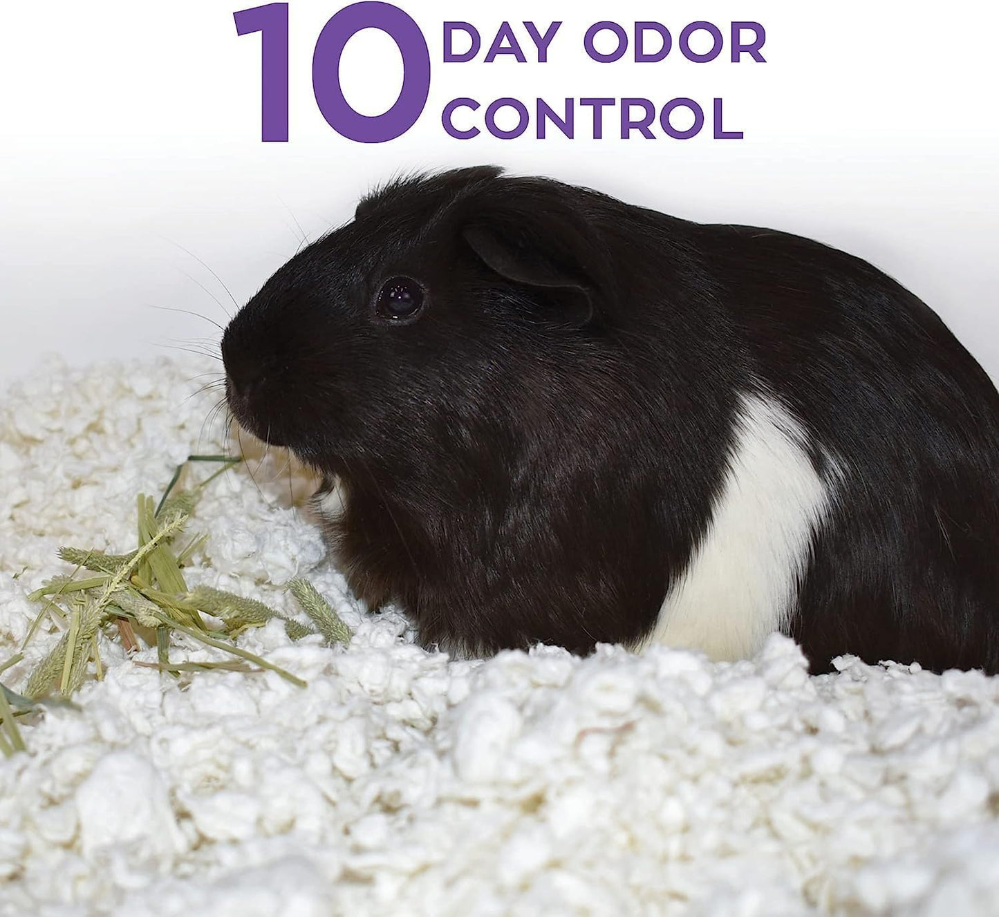 99% Dust-Free White Natural Paper Small Pet Bedding with Odor Control, 10L, White