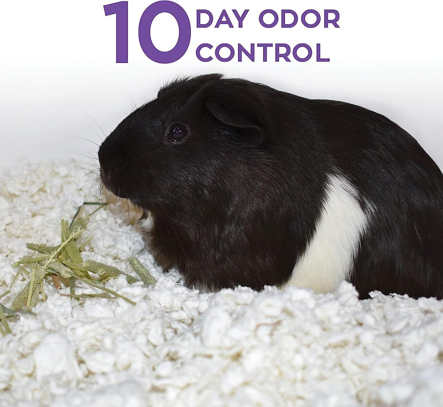 99% Dust-Free White Natural Paper Small Pet Bedding with Odor Control, 10L, White