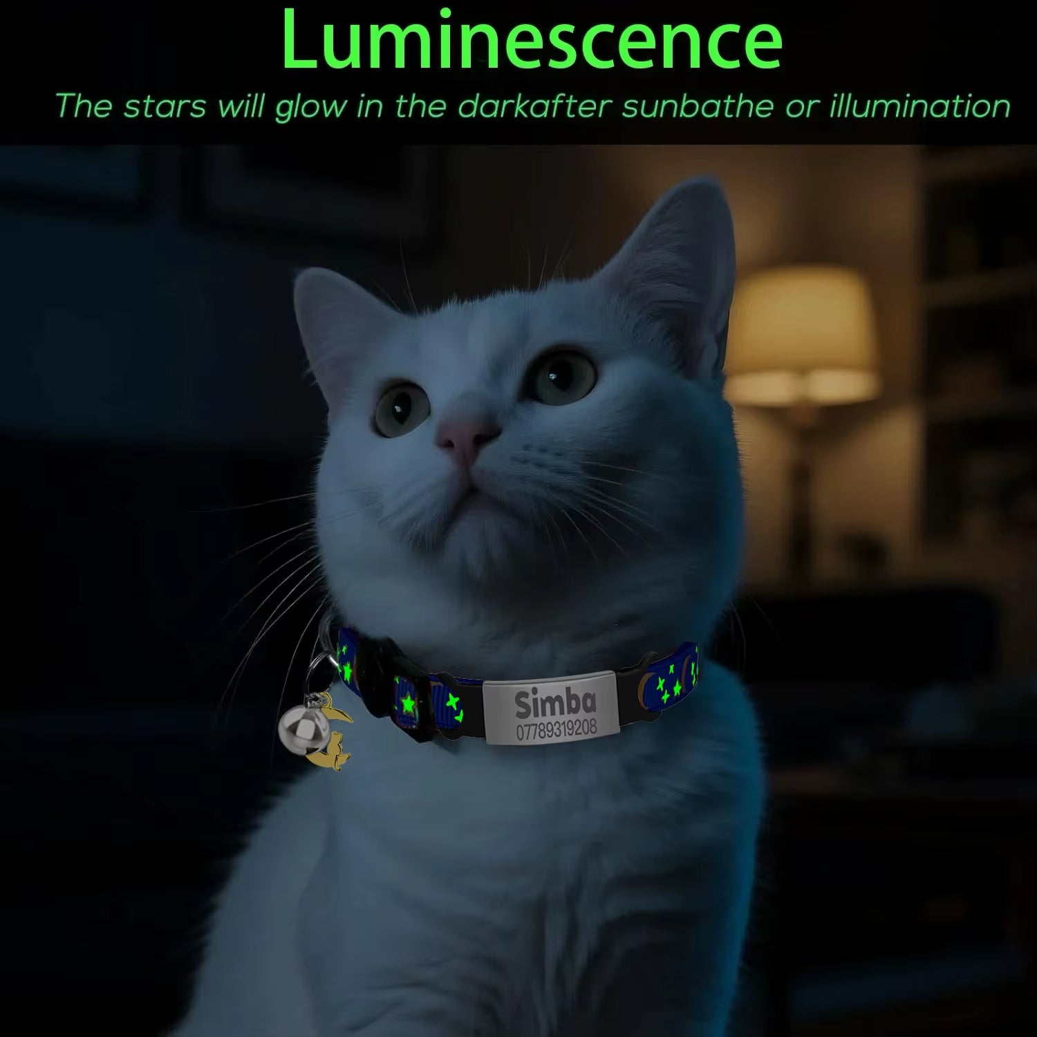 Customized Cute Glow Cat Collar Free Engraved Puppy Kitten Anti-Lost Pet ID Nameplate Necklace with Bell & Moon Ornament