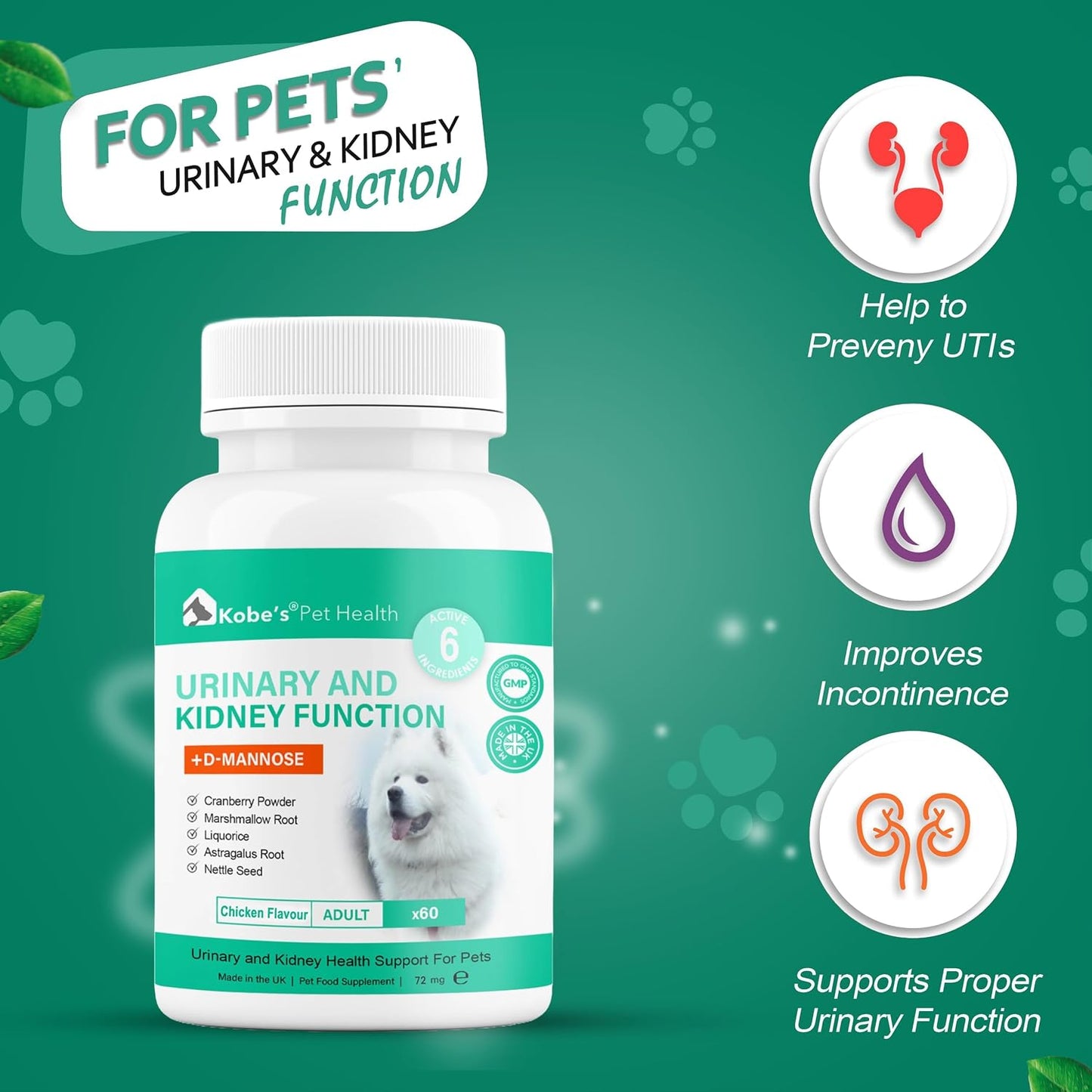 Probiotics for Dogs by KOBE’S® | Digestive Enzyme | Urinary Tract Infection | Stimulates Immune System & Maintains Overall Health | Dog Yeast Infection Treatment| Dog Diarrhea Treatment - 60 Tablets