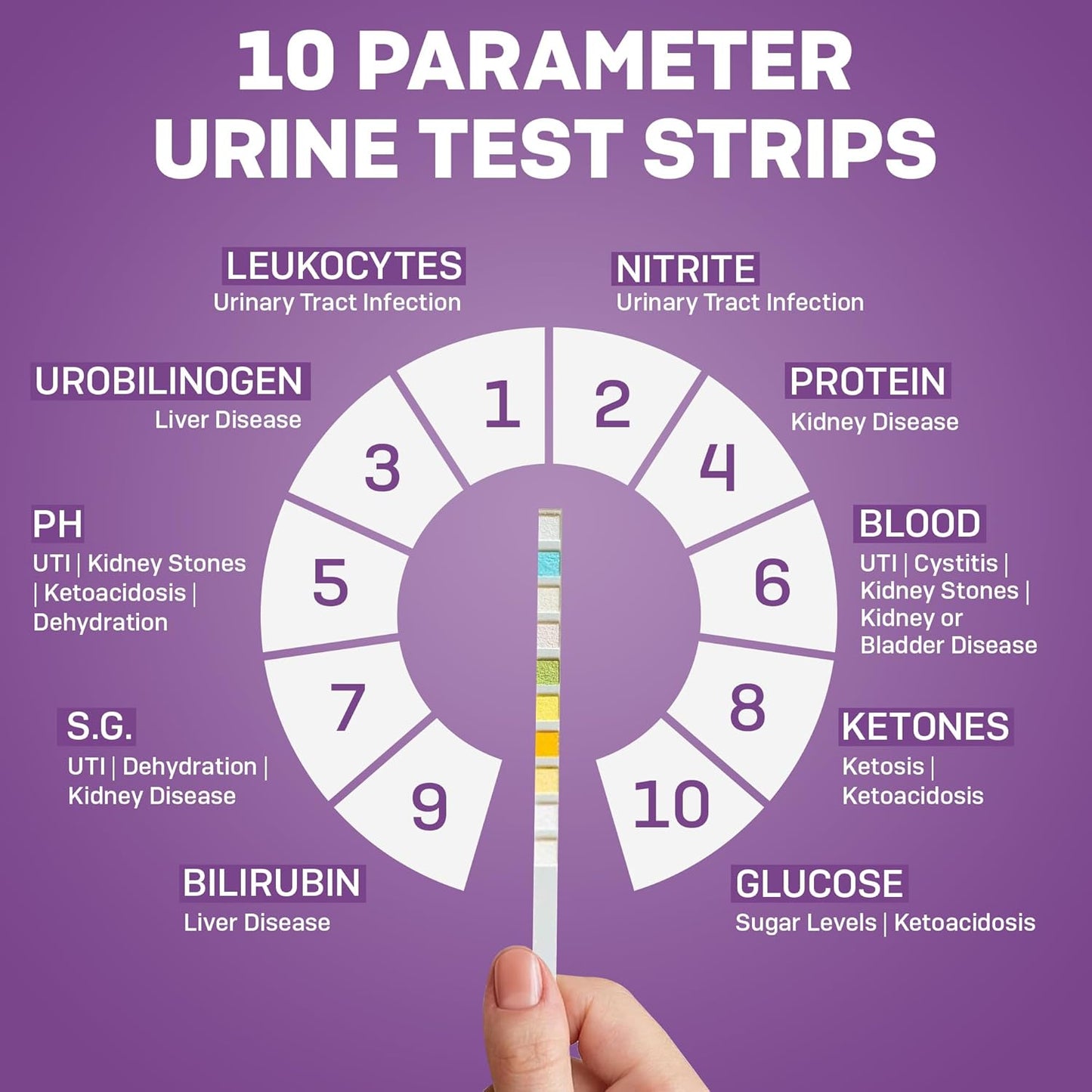Pet Urine Testing Strips, 50 X Urinalysis Parameter Tests for Dogs, Cats, Vets, Accurate Testing for Veterinarians, Detects UTI, Diabetes, Bladder, Kidney, Liver, SG, Ph, Glucose
