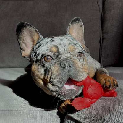 Extremely Strong Chew Effect Novelty Lobster Chew Toy Durable Chew Toy for Teeth Steak Small for Dogs up to 11Kg