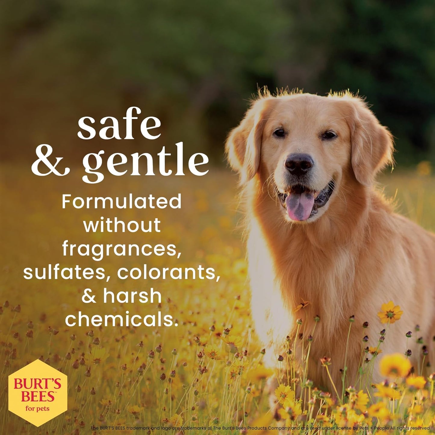 Eye Wash with Saline Solution for Dogs, 99.9% Natural Origin Formulas, Dog Eye Cleaner, Eye Wash for Dogs, Eye Treatment for Dogs, 4 Oz
