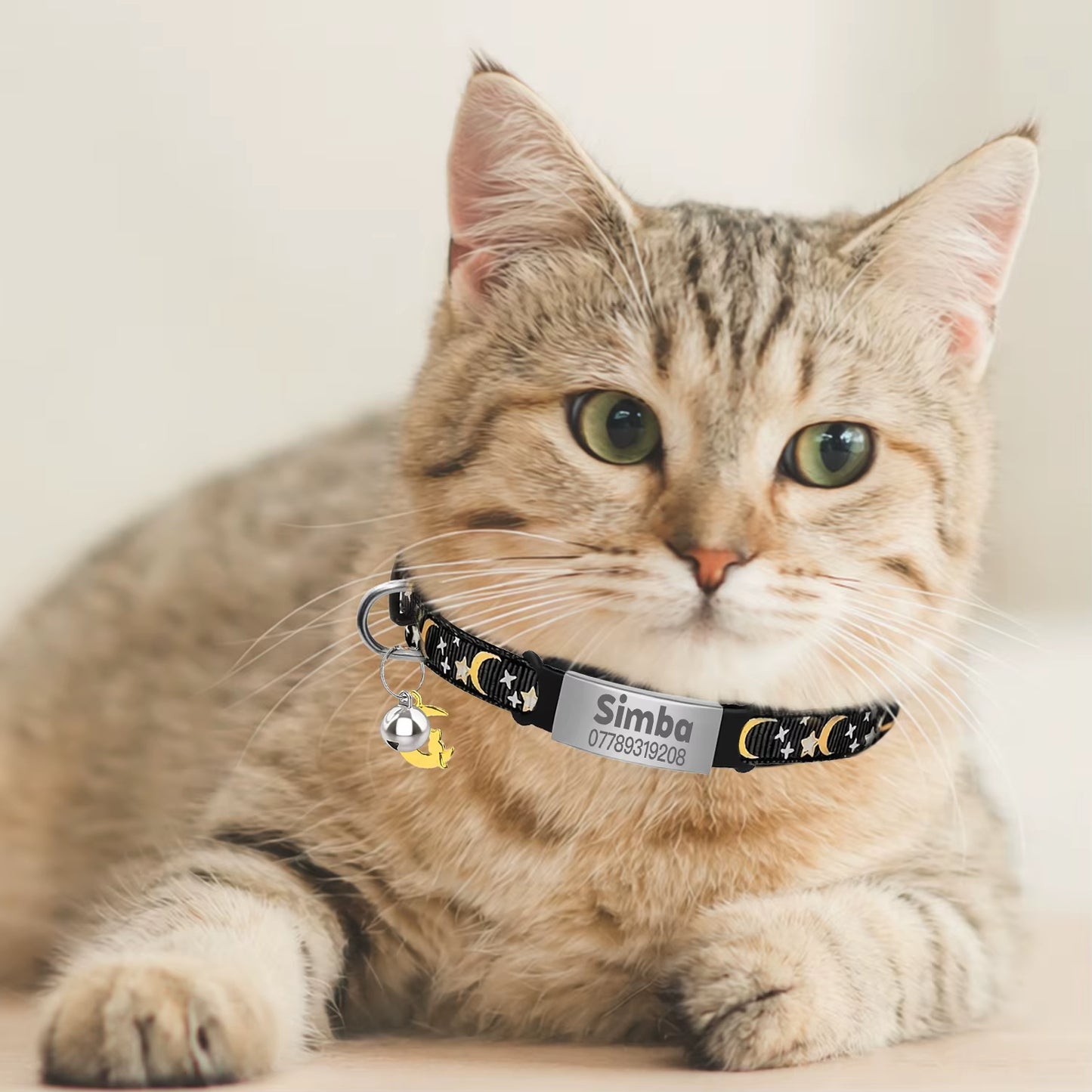 Customized Cute Glow Cat Collar Free Engraved Puppy Kitten Anti-Lost Pet ID Nameplate Necklace with Bell & Moon Ornament