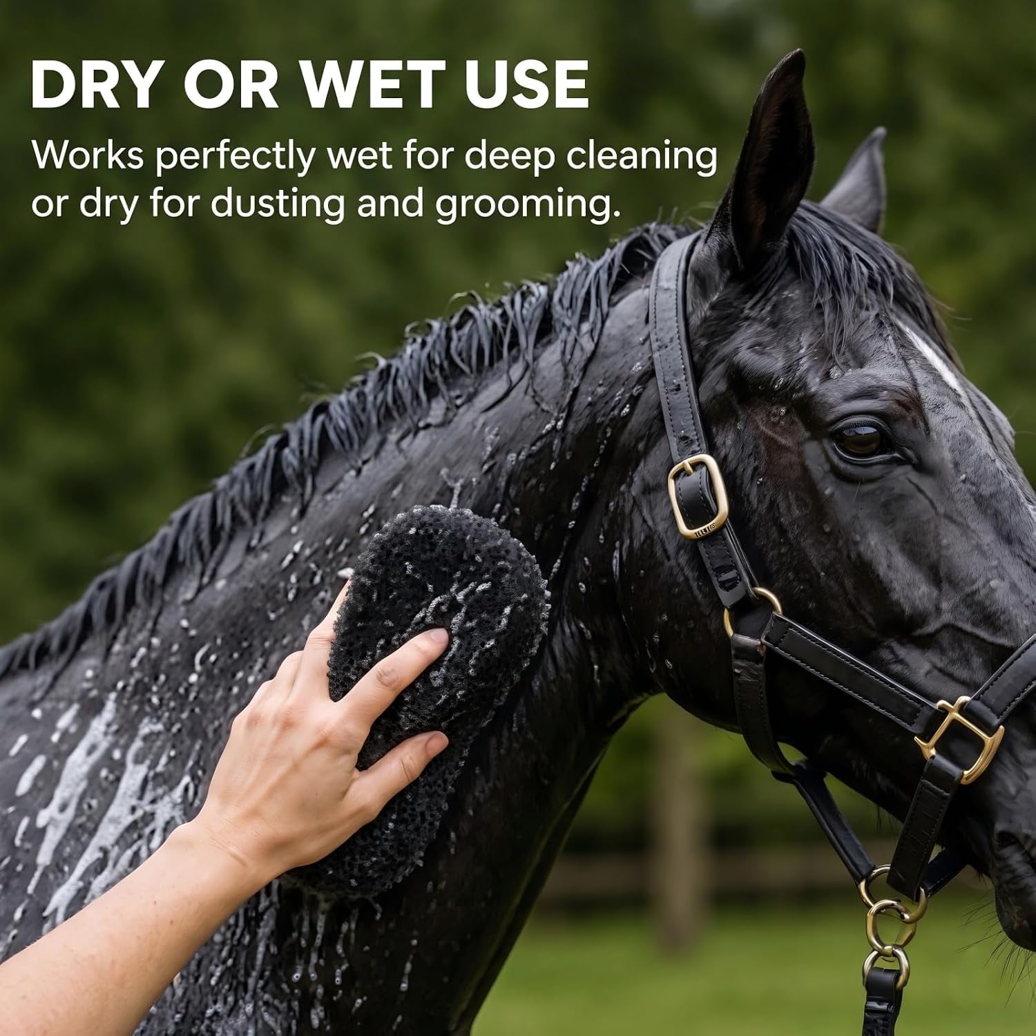 Professional Horse Grooming Sponge, Horse Bathing Brush with Tiger'S Tongue Shape, Cleaning Pads for Body & Hoof Care, for Equestrian Groomers (Black 2Pcs)