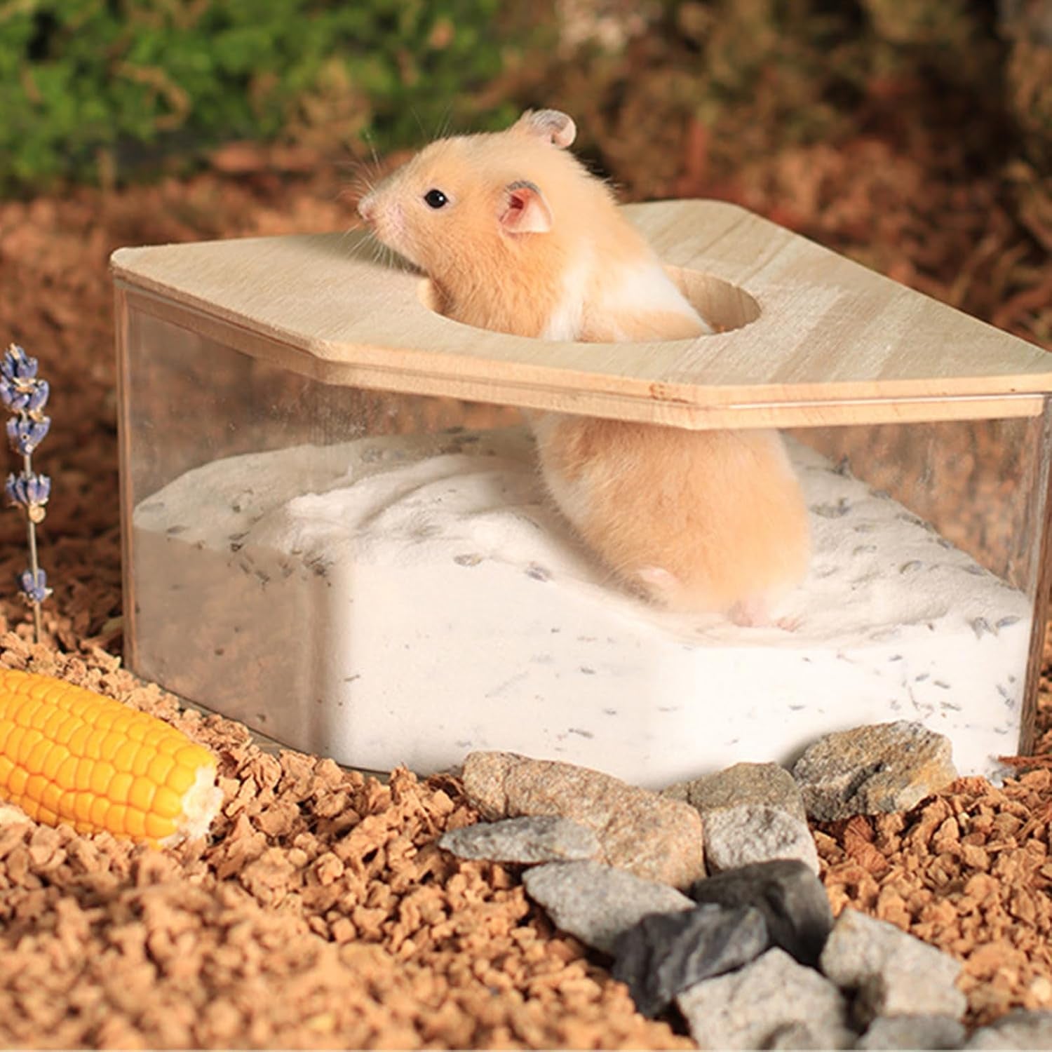 Hamster Sand Bath Container,Pet Hamster Sand Bathroom,Hamster Sand Bath Box,Sand Bathroom for Syrian Hamster,For Mice Lemming Gerbils (Pentagon-A)