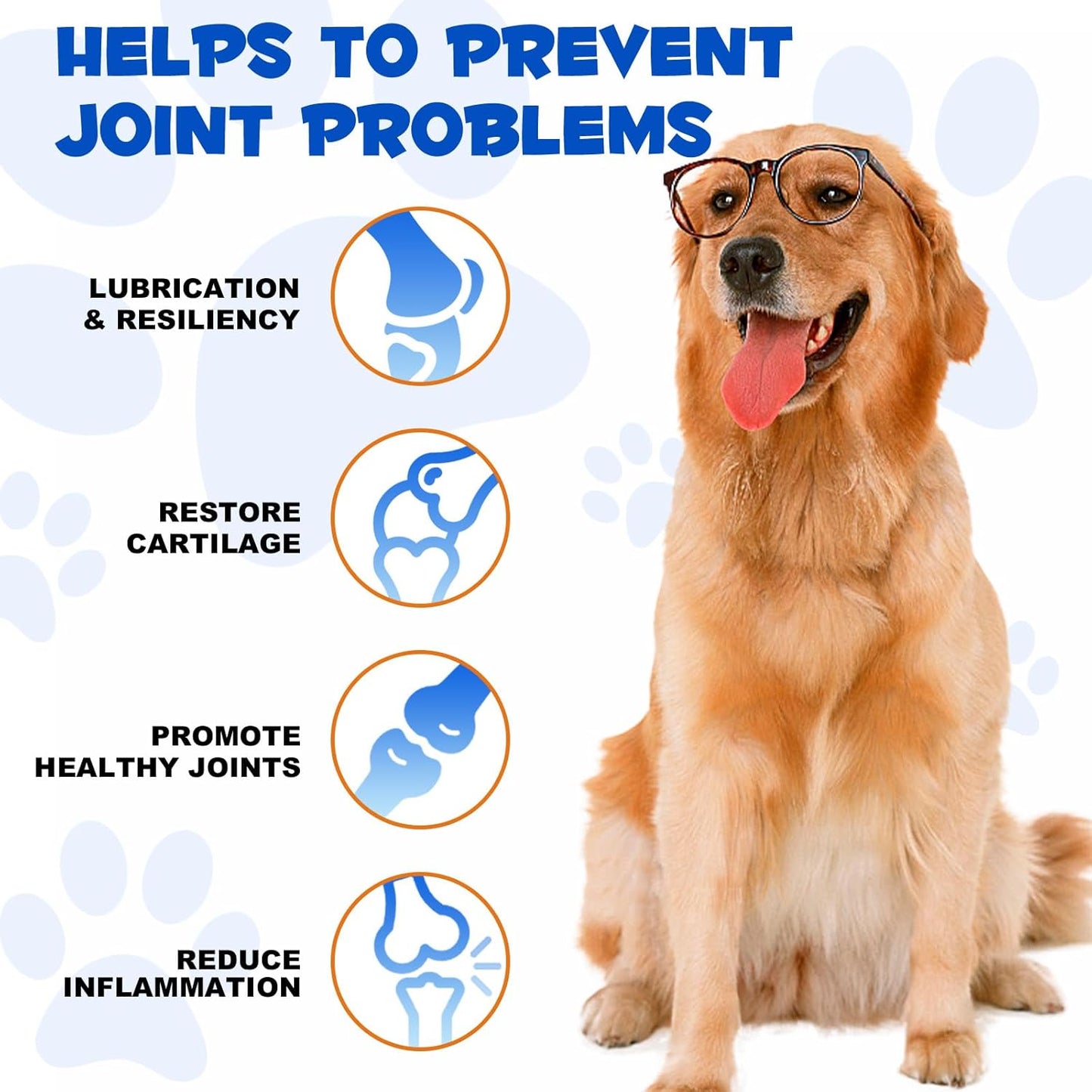 Joint Supplements for Dogs Joint Aid for Dogs with Glucosamine Dog Joint Supplements for Senior Dogs Improve Mobility & Flexibility Pet Supplement for Older and Stiff Dogs, Beef Flavor - 120Ml