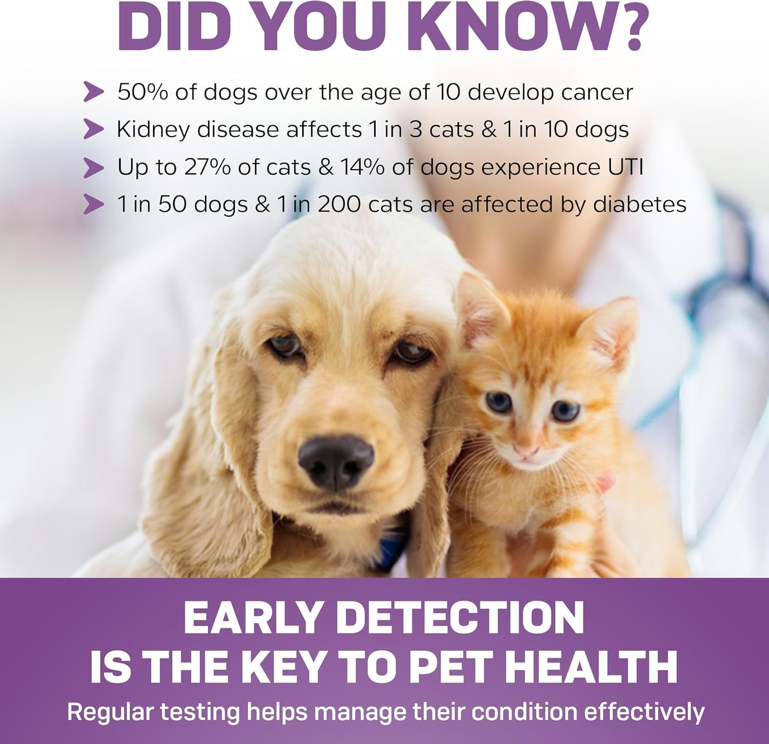 Pet Urine Testing Strips, 50 X Urinalysis Parameter Tests for Dogs, Cats, Vets, Accurate Testing for Veterinarians, Detects UTI, Diabetes, Bladder, Kidney, Liver, SG, Ph, Glucose