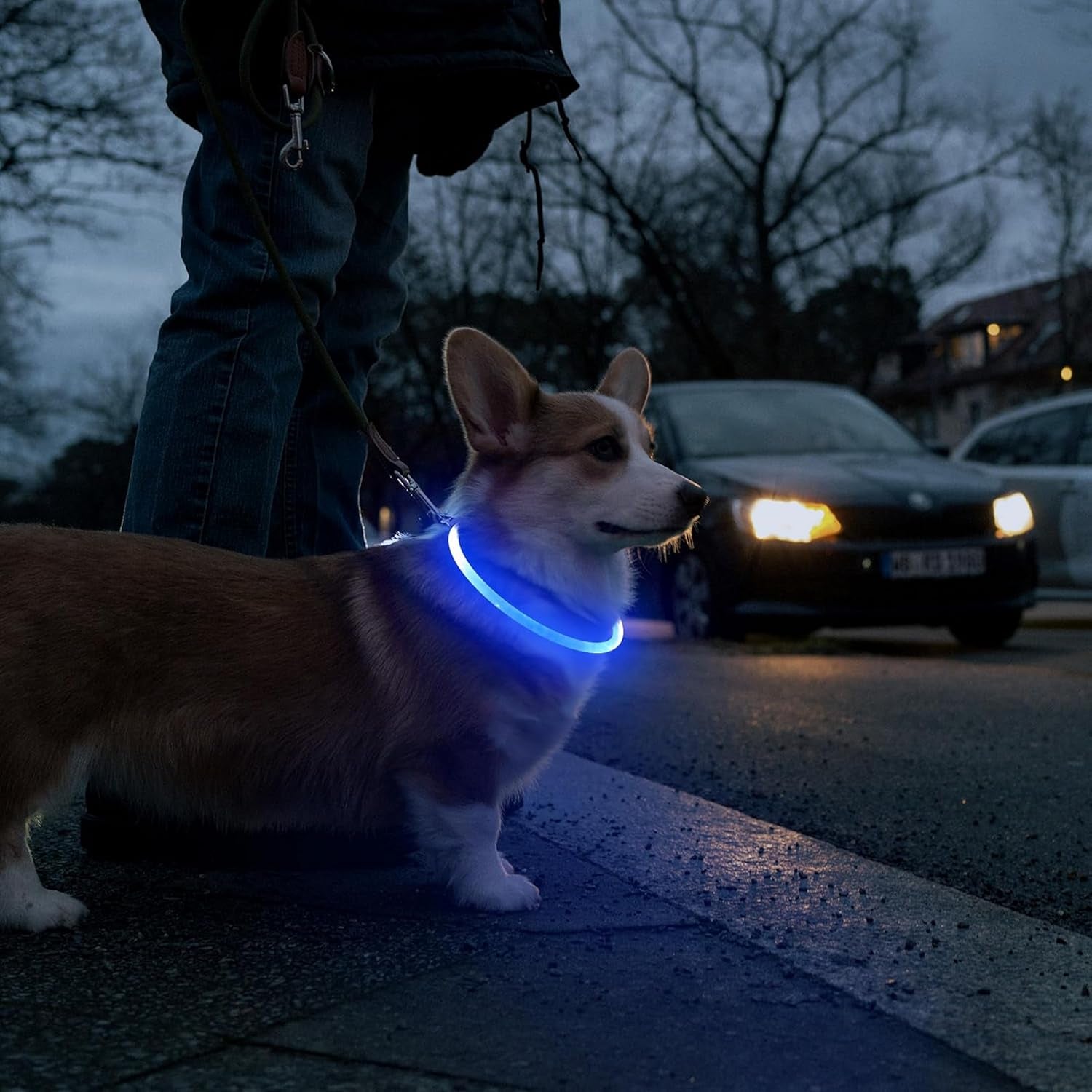 Light up Dog Collar USB Rechargeable Flashing Dog Collar for Dark – Safety High Vis Neon Dog Lights for Night Walking, Dog Harness Light Illuminous Dogs Collar Cut to Size for Small Dogs & Puppies
