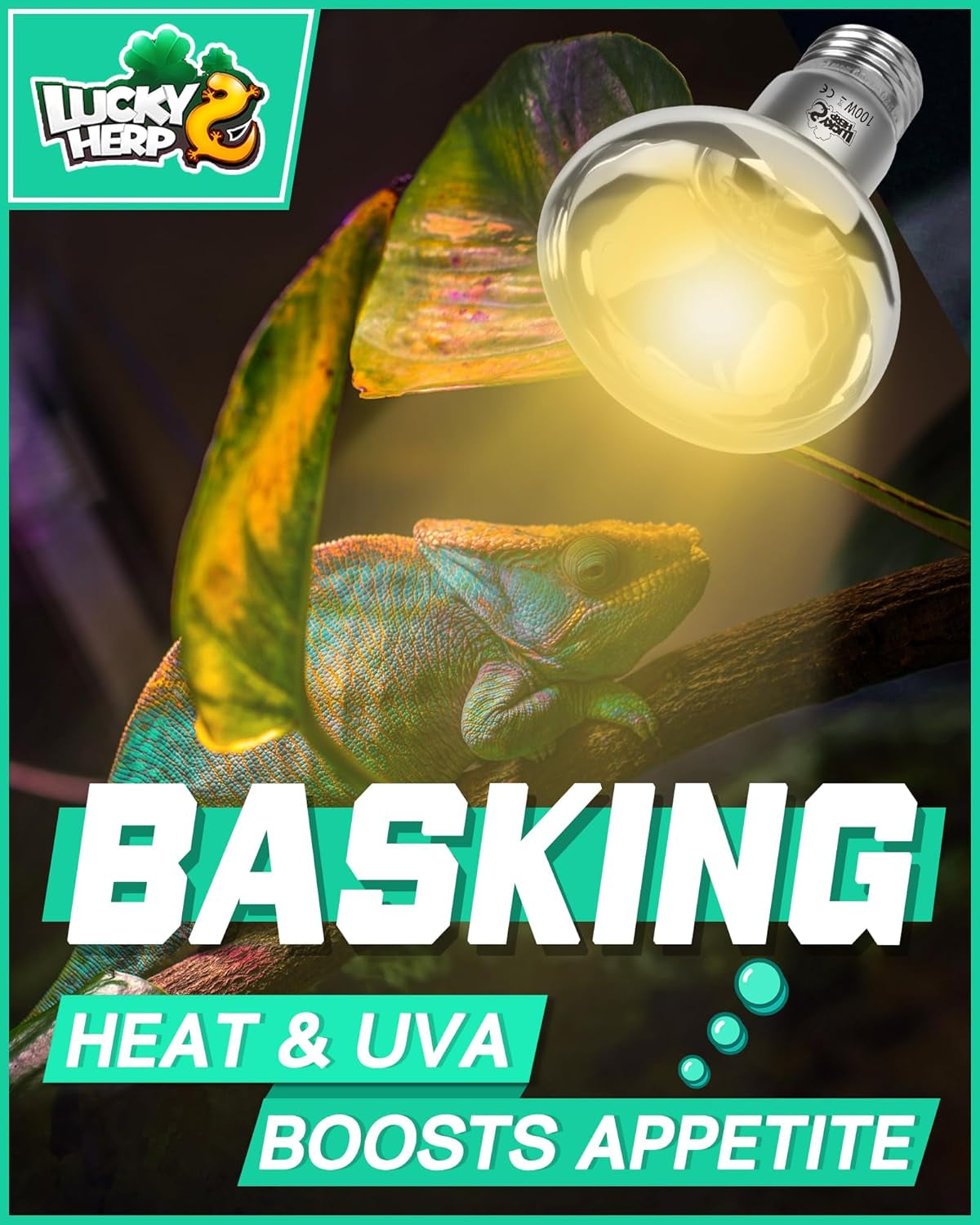 Reptile Heat Lamp Bulb, 100W Basking Spot Heat Bulb for Reptiles, Vivarium UVA Heat Light for Tortoise, Bearded Dragons, Lizards, Chicks, Dog