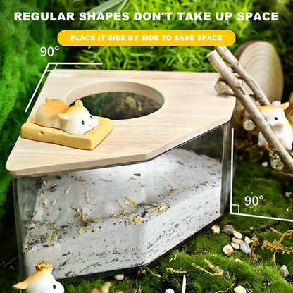 Hamster Sand Bath Container,Pet Hamster Sand Bathroom,Hamster Sand Bath Box,Sand Bathroom for Syrian Hamster,For Mice Lemming Gerbils (Pentagon-A)