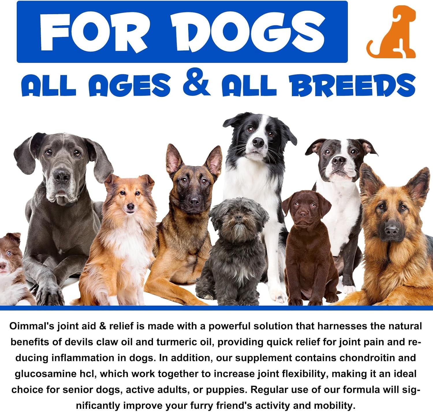 Joint Supplements for Dogs Joint Aid for Dogs with Glucosamine Dog Joint Supplements for Senior Dogs Improve Mobility & Flexibility Pet Supplement for Older and Stiff Dogs, Beef Flavor - 120Ml