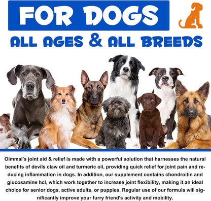 Joint Supplements for Dogs Joint Aid for Dogs with Glucosamine Dog Joint Supplements for Senior Dogs Improve Mobility & Flexibility Pet Supplement for Older and Stiff Dogs, Beef Flavor - 120Ml