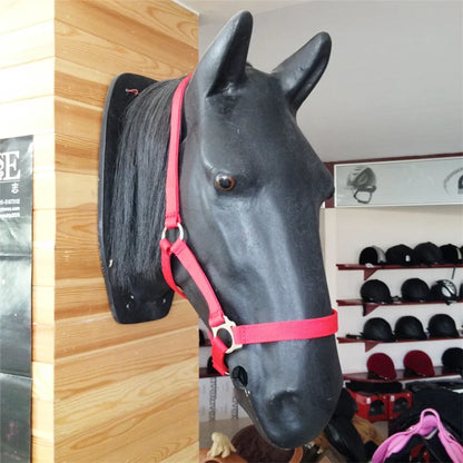 Horse Bridle & Halter, Equestrian Tack Basic Set