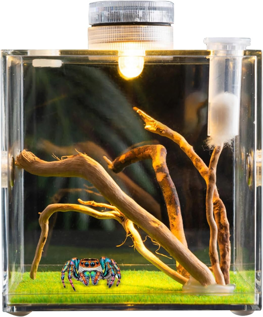 Jumping Spider Enclosure Spring Spider Living Room Spider Terrarium Tarantula Enclosure Spider Cage Acrylic Terrarium Terrarium